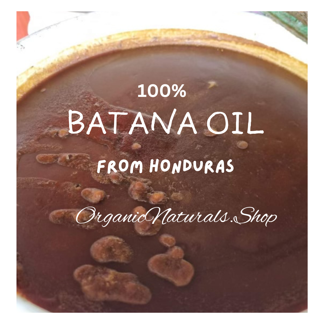Wholesale Bulk Batana OIl