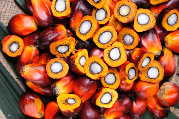 The Ultimate Guide to Batana Oil: Transform Your Hair & Scalp Naturally