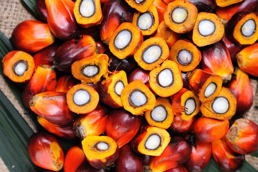 The Ultimate Guide to Batana Oil: Transform Your Hair & Scalp Naturally