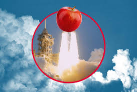 "Rocket Fuel in Our Food? Discover How Sea Moss Can Help Protect Your Health"