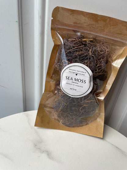Rare Honduras Sea Moss